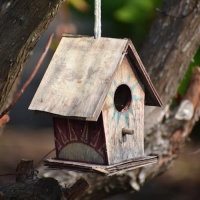 free-photo-of-close-up-of-small-wooden-birdhouse