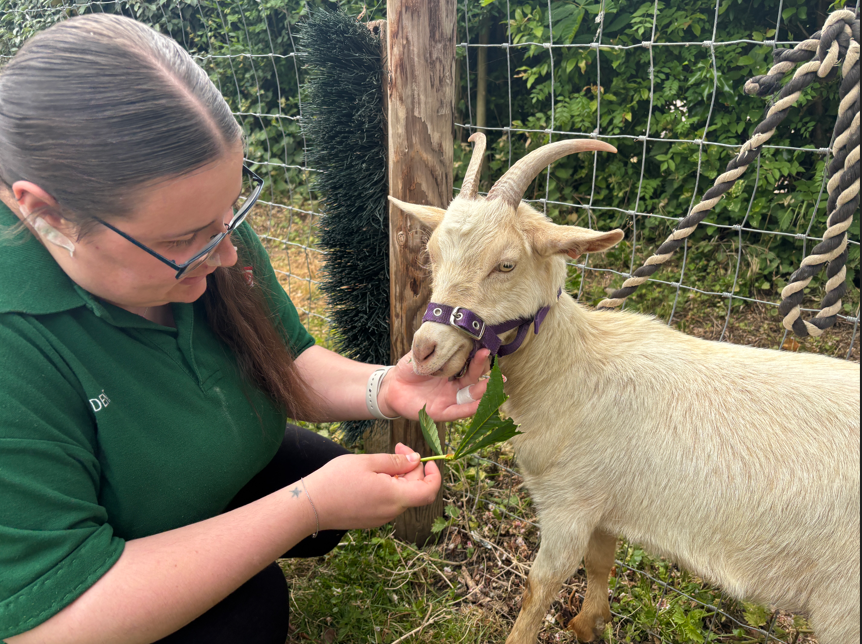 featured news thumbnail